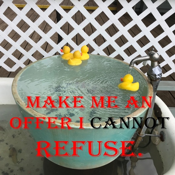 Meet your Posher, Theolyn - Picture 2 of 4